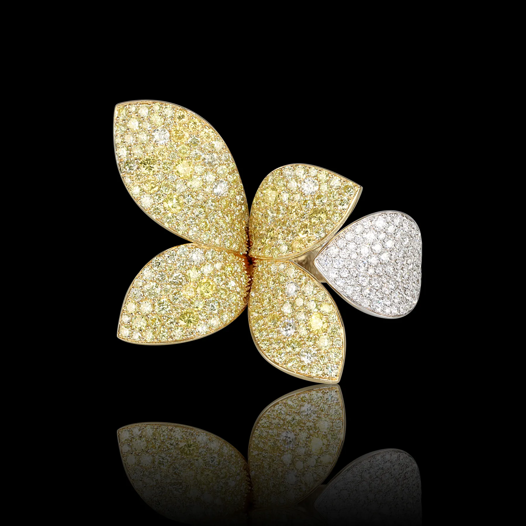 Pasquale Bruni GIARDINI SEGRETI AURA RING- White Gold|Rings